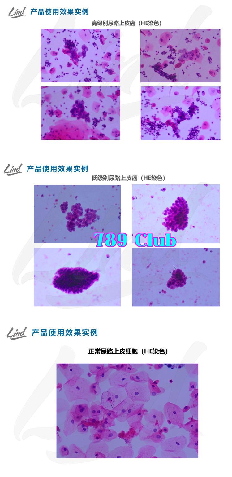 Chưa đặt tên-2.jpg