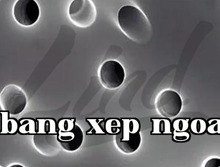 Màng vết tích nhân tử: Sự kết hợp giữa cấu trúc lỗ vi mô độc đáo và chức năng chống giả