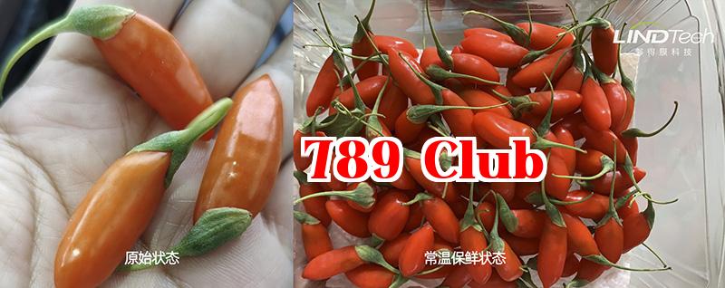 [Bảo quản thường nhiệt] Xem cách bảo quản kỷ tử tươi được kéo dài từ 0,8 ngày lên 3 ngày