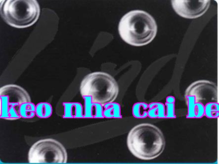 Cấu trúc và chức năng của màng lỗ nhân tử là gì?