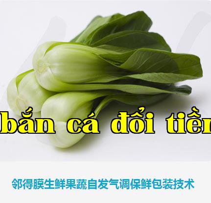Ưu điểm của màng Lân Đức trong việc bảo quản sản phẩm tươi sống và rau quả là gì?