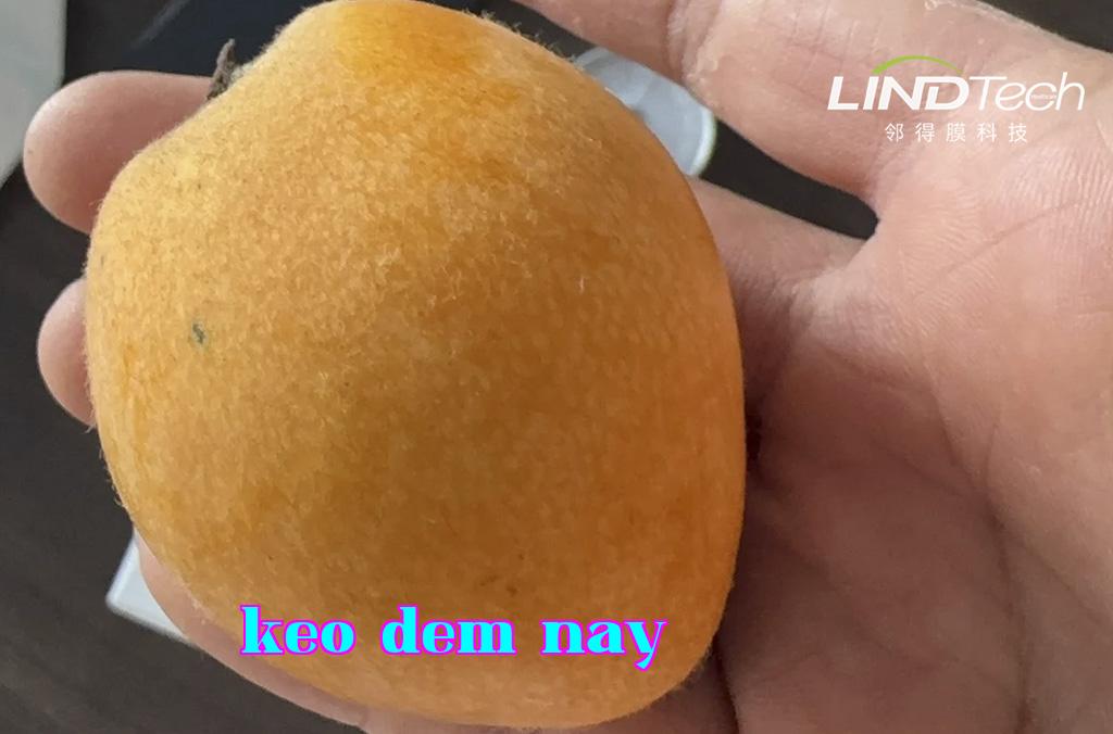 Màng nhân quả - Giải pháp bảo quản vật lý thường nhiệt tự động điều chỉnh khí