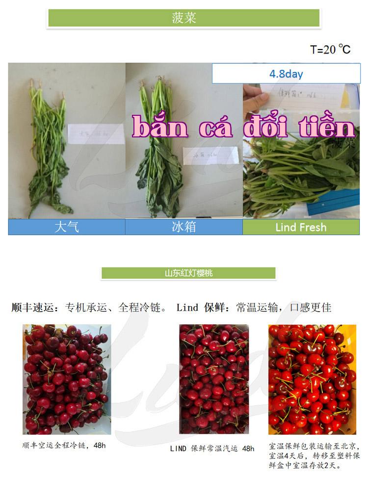 Chi tiết công nghệ đóng gói bảo quản rau quả tươi tự động của màng Linedam thay bằng_03.jpg
