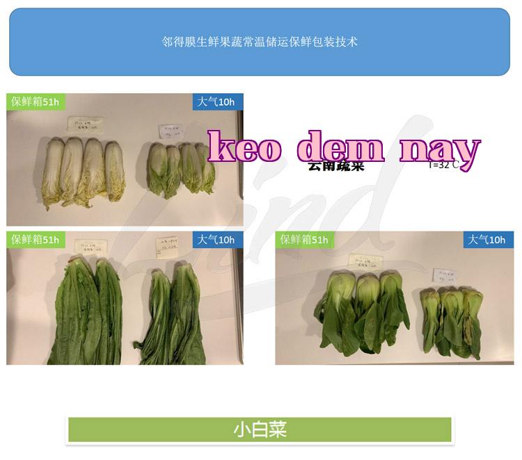 Chi tiết công nghệ đóng gói bảo quản rau quả tươi tự động của màng Linedam thay bằng_01.jpg