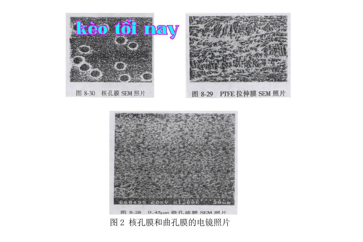 Ảnh chụp màn hình WeChat_20250430173512.jpg