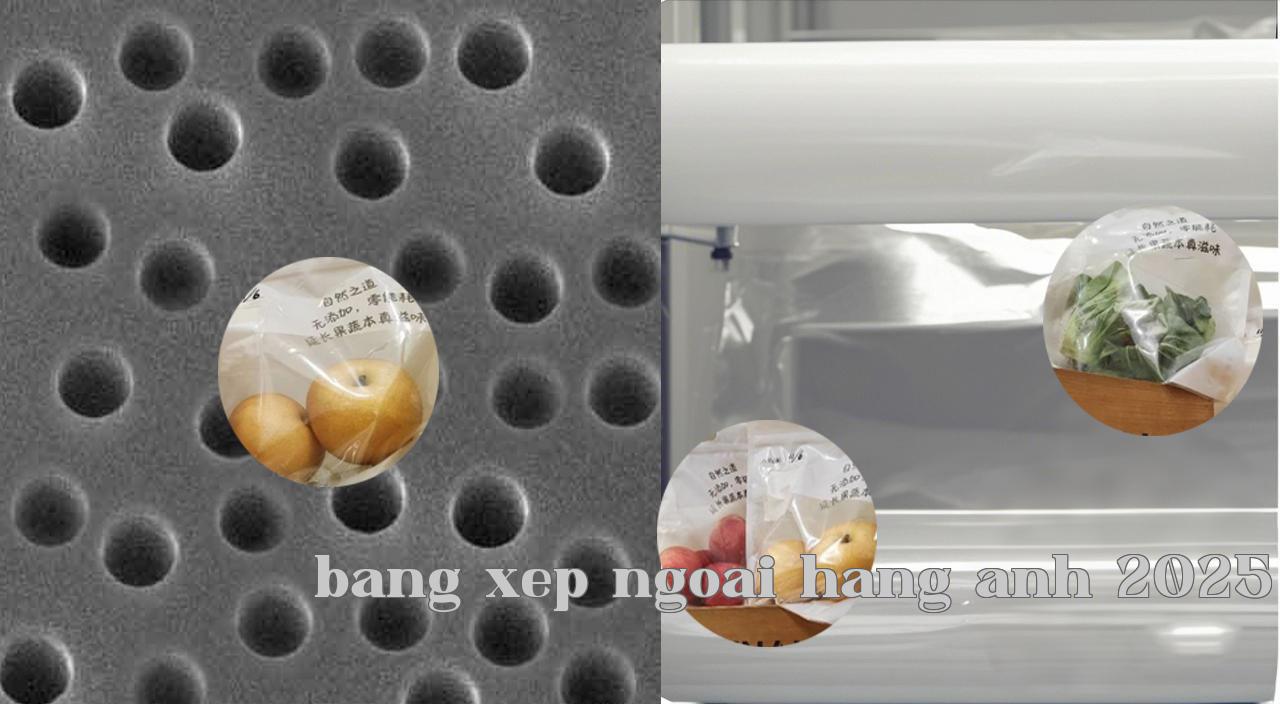 Nuclear_track_membrane_2.jpg