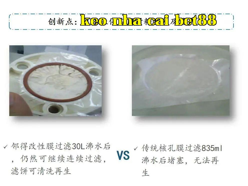 Wechat_Picture_20250418163748.jpg