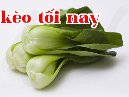 Công nghệ bảo quản bao bì tự điều chỉnh khí cho trái cây và rau quả tươi sống của Lendem Membrane