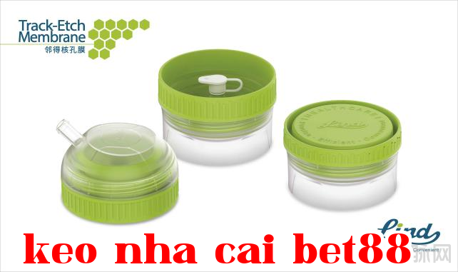 Wechat_Picture_20250418163751.png